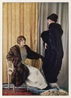 Furs/Grunwaldt/ Plate 3