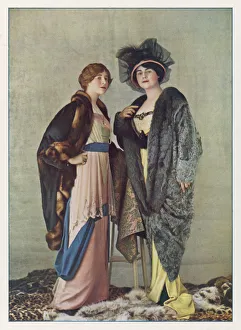 Furs/Grunwaldt/ Plate 3