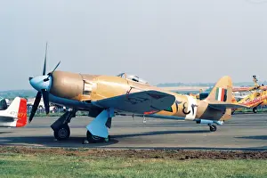Fury Prints: Fury I at North Weald