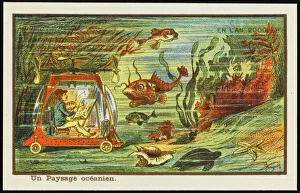 Fantasy Fishing