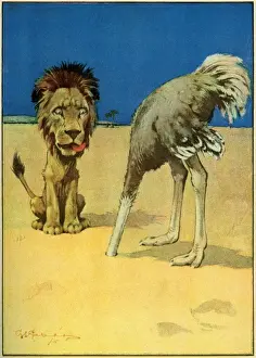 Licks Prints: G Studdy. Puzzle for Mr Lion. (c. 1916)