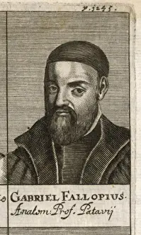 Gabriel Fallopius