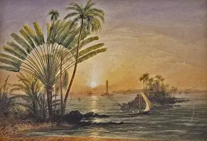 Nicholl Prints: Galle Harbour, Ceylon