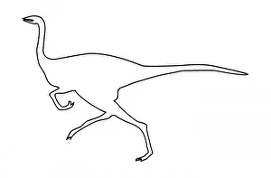 Mesozoic Prints: Gallimimus
