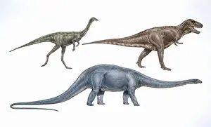 Cretaceous Prints: Gallimimus, Tyrannosaurus & Diplodocus