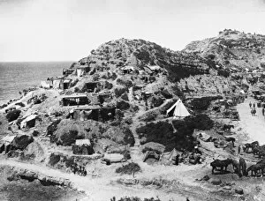 Gully Collection: Gallipoli WWI