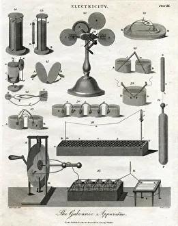 Frogs Collection: The Galvanic Apparatus