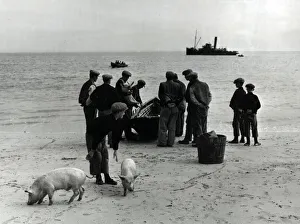 Angus Collection: Galway Fair, Ireland - the first curraghs putting out
