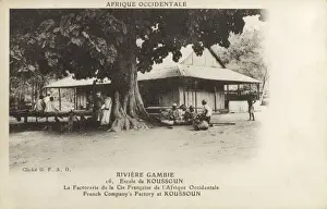 Gambian Prints: The Gambia - Gambia River - Koussoun