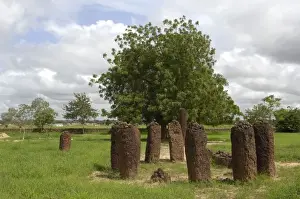 THE GAMBIA. Wassu. Stone circles