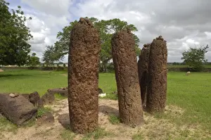 Circles Prints: THE GAMBIA. Wassu. Stone circles