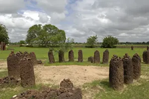 THE GAMBIA. Wassu. Stone circles