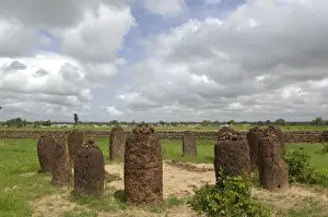 THE GAMBIA. Wassu. Stone circles