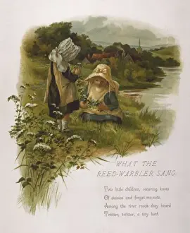Game / Daisy Chains 1889