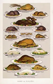 Game & Poultry