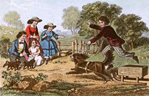 Images Dated 9th April 2018: GAMES / OUTDOOR / DOG SLEIGH