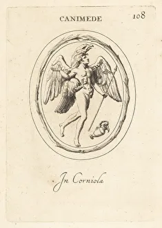 Homosexual Prints: Ganymede carried off by Zeus disguised as an eagle