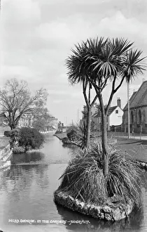 Dawlish Prints: In the Garden