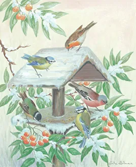 Ella Prints: Garden birds on bird feeder