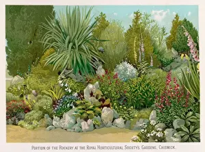 Chiswick Prints: Garden / Chiswick Rhs