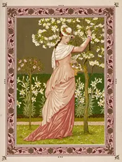 Garden / Decorative Lady