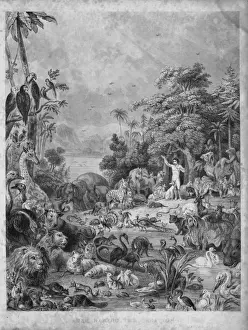 Garden of Eden