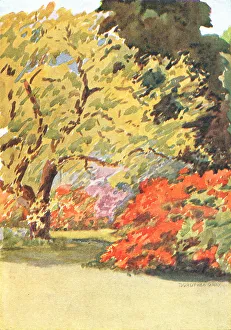Neat Collection: Garden Flora