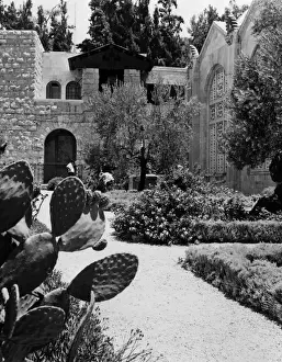 Iscariot Prints: The Garden of Gethsemane