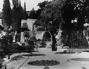 The Garden of Gethsemane