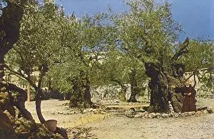 Monks Prints: Garden of Gethsemane, Jerusalem