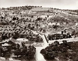 Israel Collection: Garden of Gethsemane, Mount of Olives, Jersualem