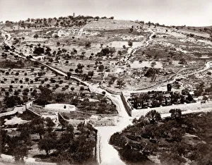 Christ Prints: Garden of Gethsemane, Mount of Olives, Jersualem