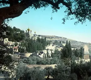 Gethsemane Prints: Garden of Gethsemane - An O E Simmonds view
