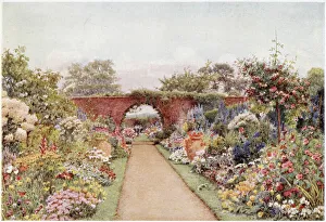 Images Dated 11th November 2020: The garden at Harleyford Manor, Great Marlow. A central path