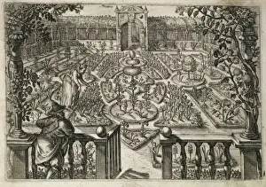 Potted Histories Prints: Garden Illustration