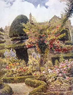 Garden / Levens Hall 1911