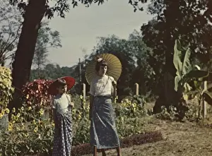 Pleasant Prints: garden of Mount Pleasant - Rangoon