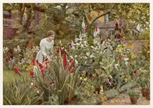 Spooner Prints: Garden / Mrs Spooner 1908