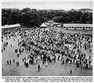 Garden Party at Palace