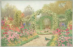 Affleck Gallery: The Garden, Peckham Rye, London Parks