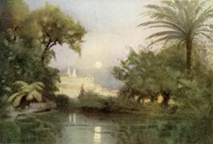Estate Prints: The Garden of the Quinta Do Relogio
