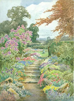 Garden Scene