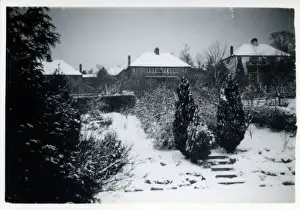 Detached Prints: Garden of Semi Detached House, Coulsdon, Surrey