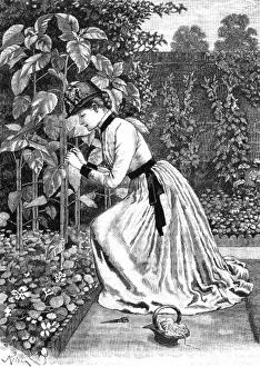 Smartly Prints: Gardener Staking Plants