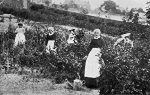 Alcoholics Gallery: Gardening, Inebriates Reformatory, Lewes, Sussex