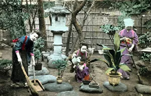 Broom Prints: Gardening in Japan