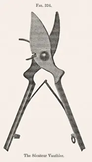 Secateurs Prints: Gardening Secateur