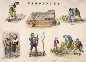 Gardening Tasks