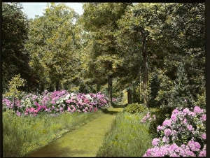 Aldenham Gallery: Gardens at Aldenham House, Hertfordshire