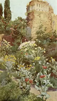 Andalusia Prints: In the Gardens of Alhamba